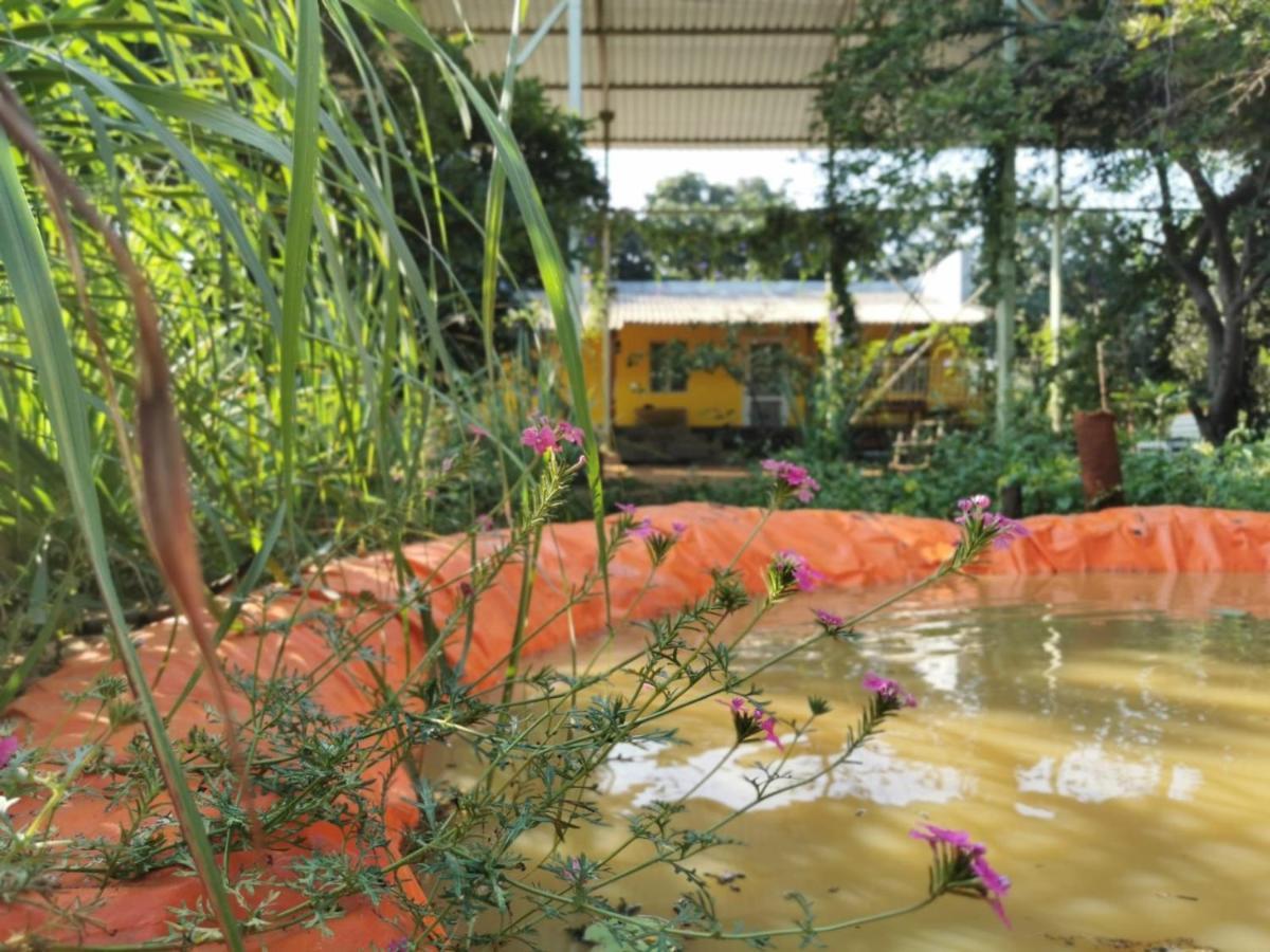 Hornbill Farm Resort Hyderabad Ngoại thất bức ảnh