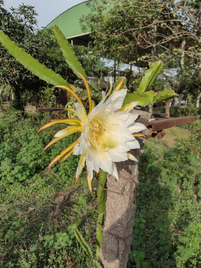 Hornbill Farm Resort Hyderabad Ngoại thất bức ảnh